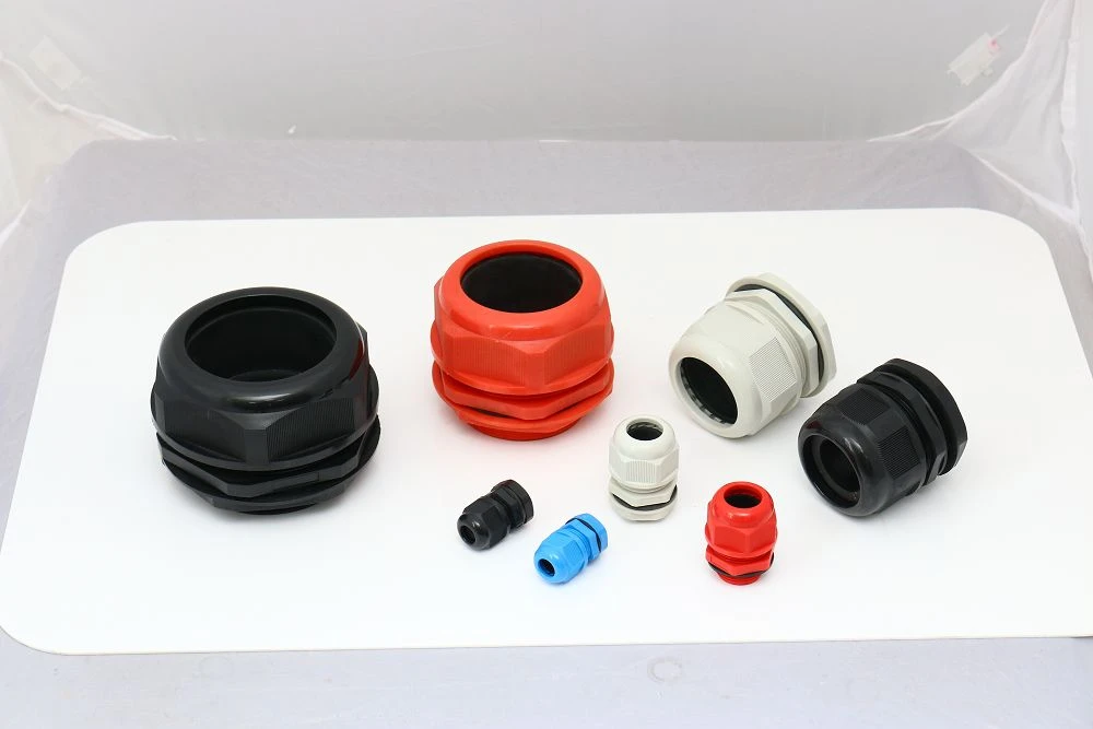 product-1000-667 product-1000-667